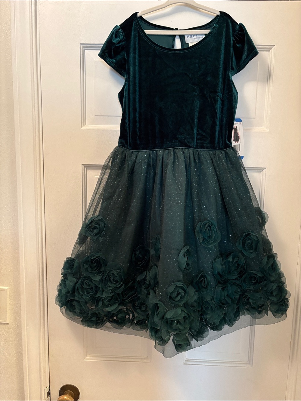 Rare Editions Emerald Green Velvet & Tulle Dress with Floral Appliqué
Size 10-12